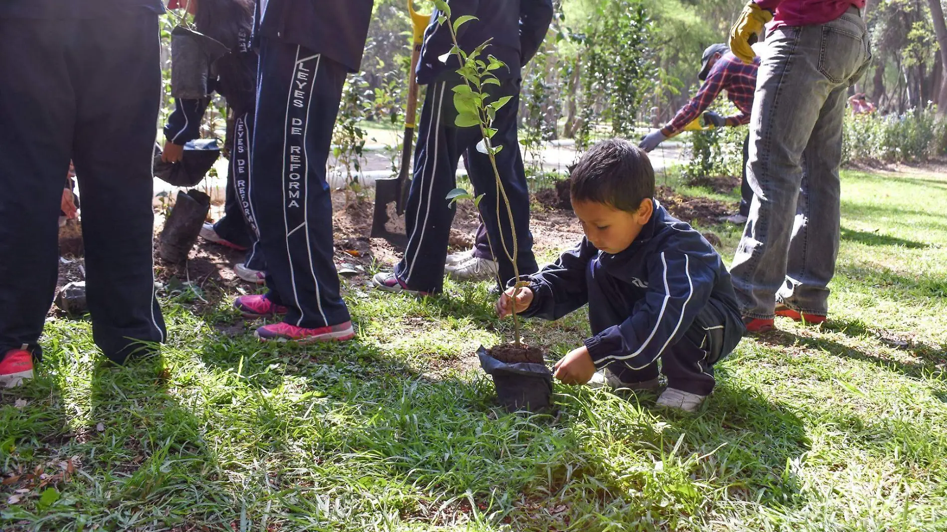 SEGAM Reforestación 030619 (2)